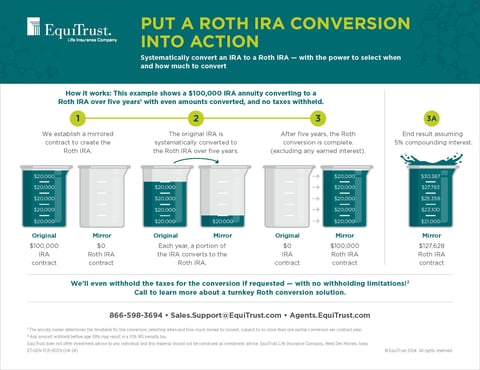 Roth IRA Conversion flyer