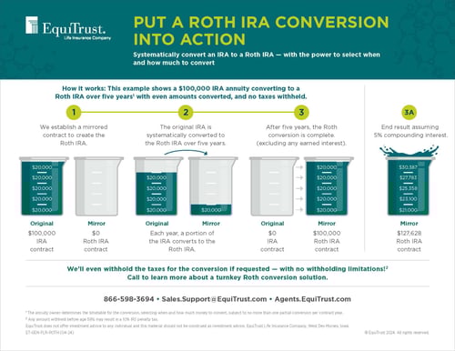 Roth IRA Conversion flyer