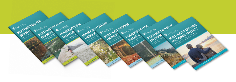 Product-portfolio-green-2